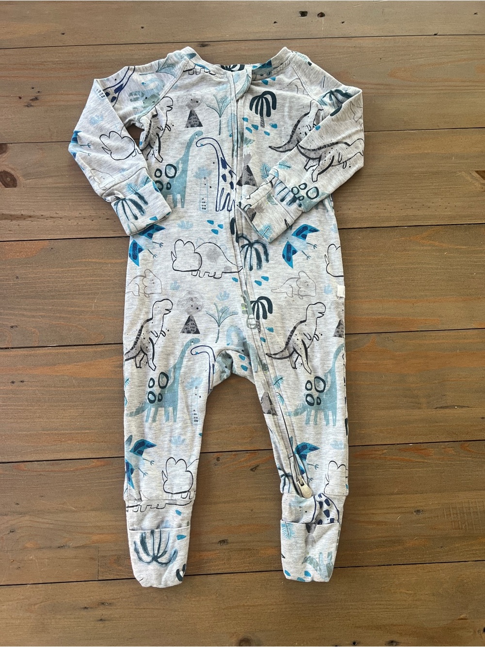 LouLou Lollipop Dinosaur Print Two-Way Zip Footie Sleeper